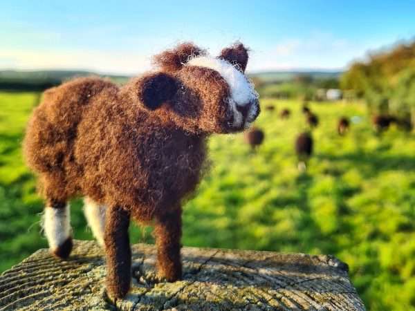 Felting with the Flock Workshop