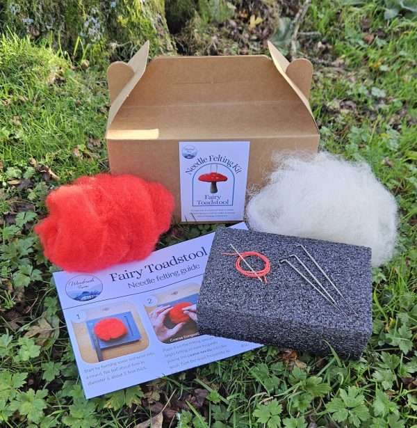 Needle Felting Kit - Fairy Toadstool