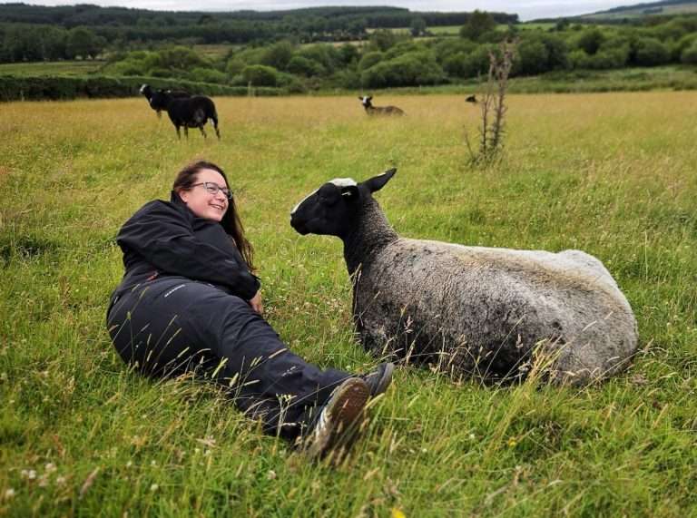 Luxury Irish Sheep Farm Tours